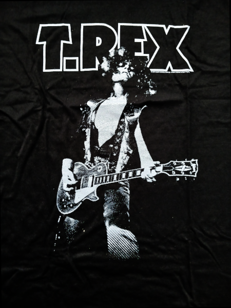 T-Rex Unisex Tee Shirt<br>Glamrock<br>Size: Large